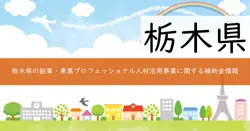 栃木県副業・兼業プロフェッショナル人材活用促進事業費補助金の画像
