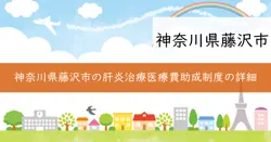 肝炎治療医療費助成制度の画像