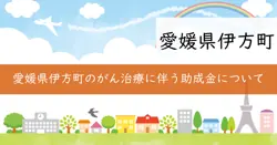 がん治療にかかる医療用ウィッグ等購入費助成の画像