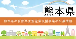 熊本県地域未来投資促進事業補助金の画像