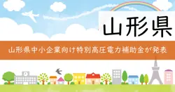 特別高圧電力負担軽減事業費補助金の画像