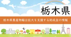 とちぎ農産物戦略的輸出拡大事業費補助金の画像