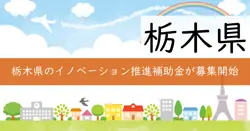 イノベーションエコシステム推進補助金の画像