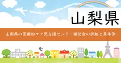医療的ケア児支援センター施設整備費補助金の画像