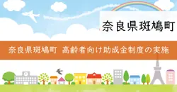 自動車誤発進防止装置設置助成金の画像