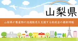 農産物流通販売強化対策事業費補助金の画像