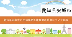 生殖補助医療費助成制度の画像