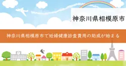 妊婦健康診査助成金の画像