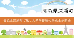 風しん予防接種助成の画像