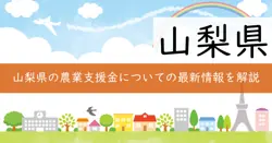 記載なしの画像