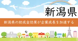 記載なしの画像