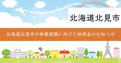 令和7年度北見市地域材利用推進林業等振興対策事業補助金の画像
