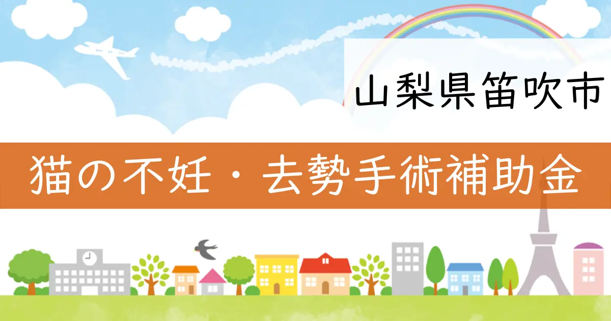 山梨県笛吹市で猫の不妊・去勢手術の補助金が開始
