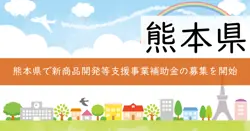 新商品開発等支援事業補助金の画像