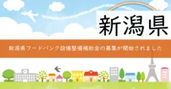 フードバンク設備整備補助金の画像