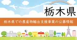 マーケットイン型の輸出の取組の画像