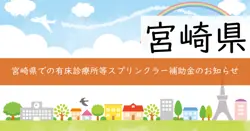 有床診療所等のスプリンクラー施設整備に係る補助制度の画像