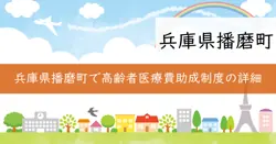 高齢障害者医療費助成制度の画像
