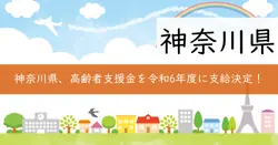 高齢者居場所づくり等支援金の画像
