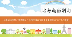 移住支援金の画像