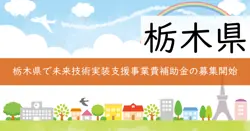 未来技術実装支援事業費補助金の画像