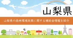 記載なしの画像