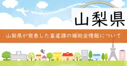 記載なしの画像