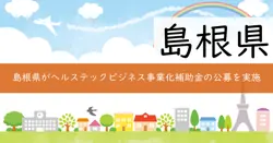 ヘルステックビジネス事業化補助金の画像