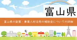 副業・兼業人材活用促進事業費補助金の画像
