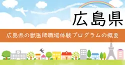 職場体験プログラムの画像