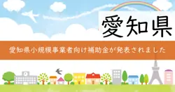 経営革新支援補助金の画像