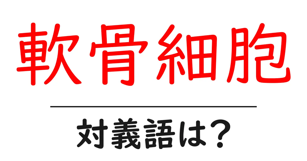 軟骨細胞の対義語・反対語を使用例を交えて分かりやすく解説!