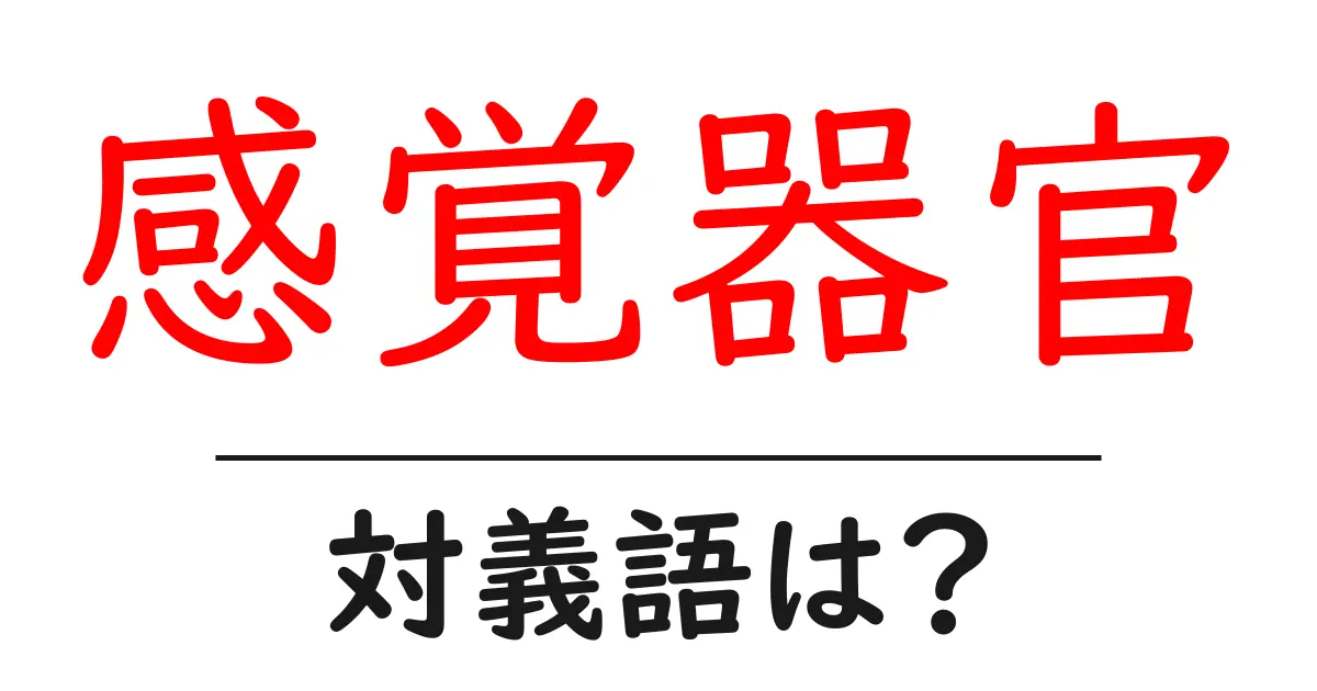 感覚器官の対義語・反対語を使用例を交えて分かりやすく解説!
