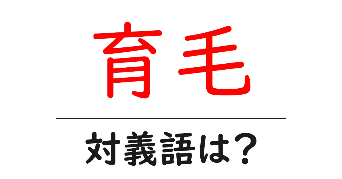 育毛の対義語・反対語を使用例を交えて分かりやすく解説!