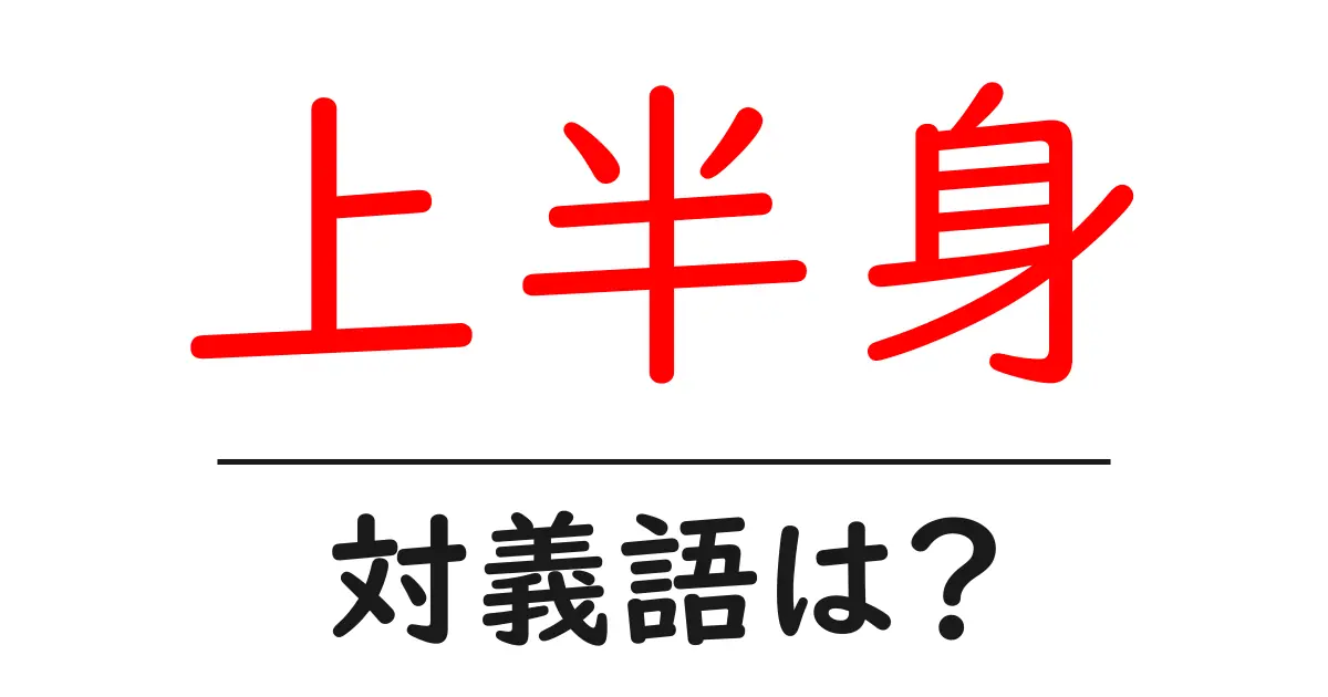 上半身の対義語・反対語を使用例を交えて分かりやすく解説!