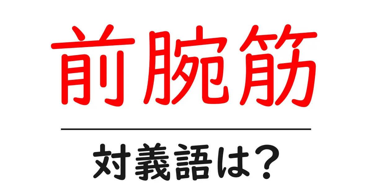 前腕筋の対義語・反対語を使用例を交えて分かりやすく解説!