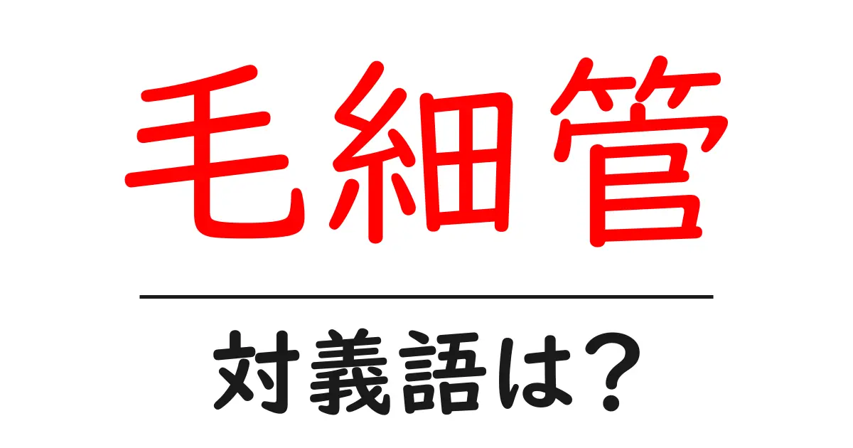 毛細管の対義語・反対語を使用例を交えて分かりやすく解説！