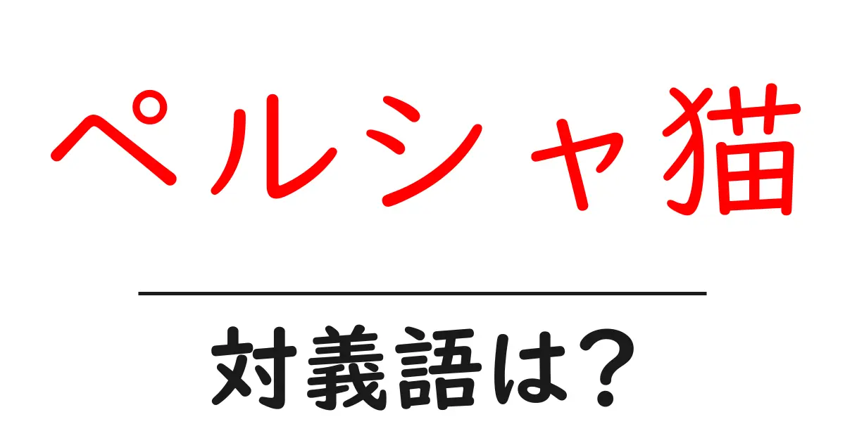 ペルシャ猫の対義語・反対語を使用例を交えて分かりやすく解説!