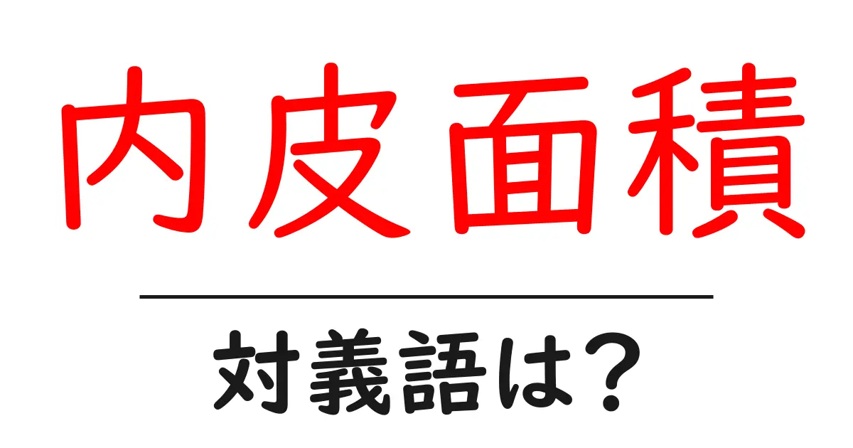 内皮面積の対義語・反対語を使用例を交えて分かりやすく解説!