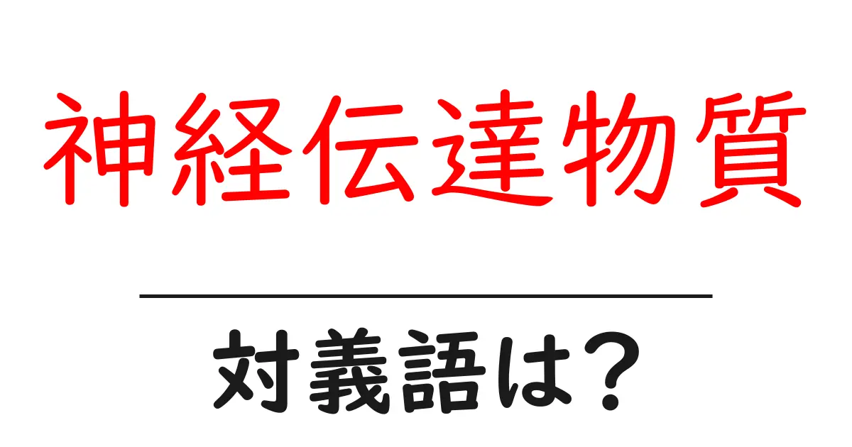 神経伝達物質の対義語・反対語を使用例を交えて分かりやすく解説!