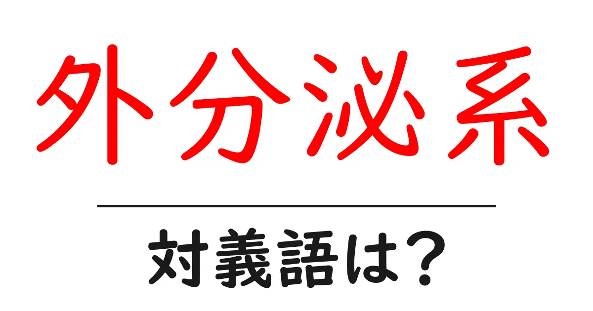 外分泌系の対義語・反対語を使用例を交えて分かりやすく解説！