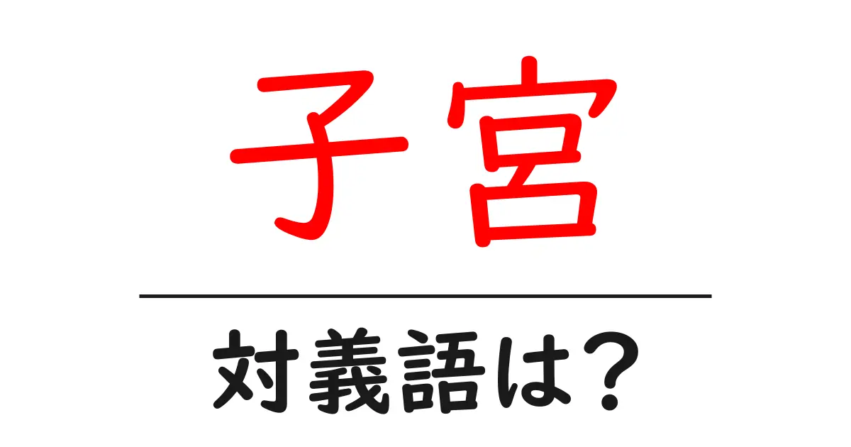子宮の対義語・反対語を使用例を交えて分かりやすく解説！