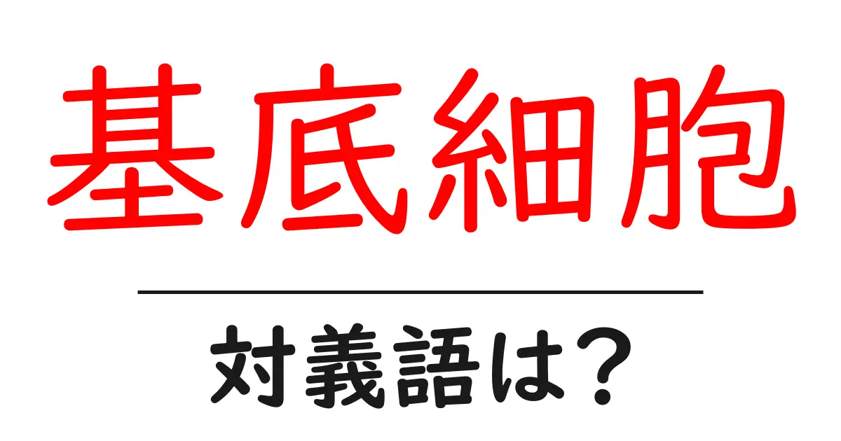 基底細胞の対義語・反対語を使用例を交えて分かりやすく解説！