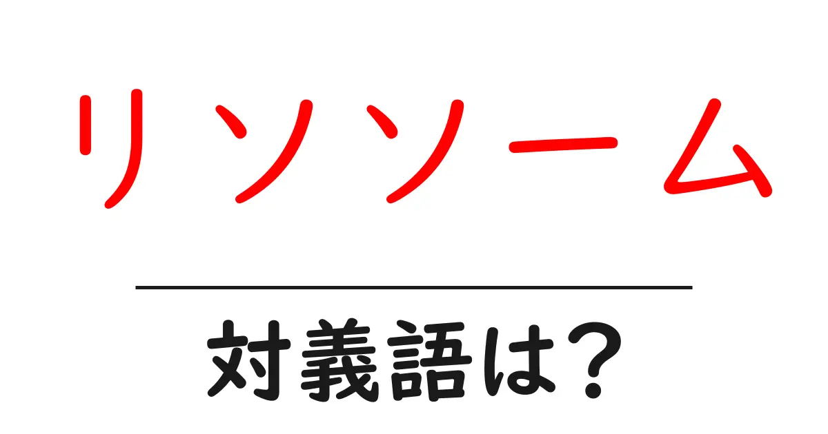 リソソームの対義語・反対語を使用例を交えて分かりやすく解説!