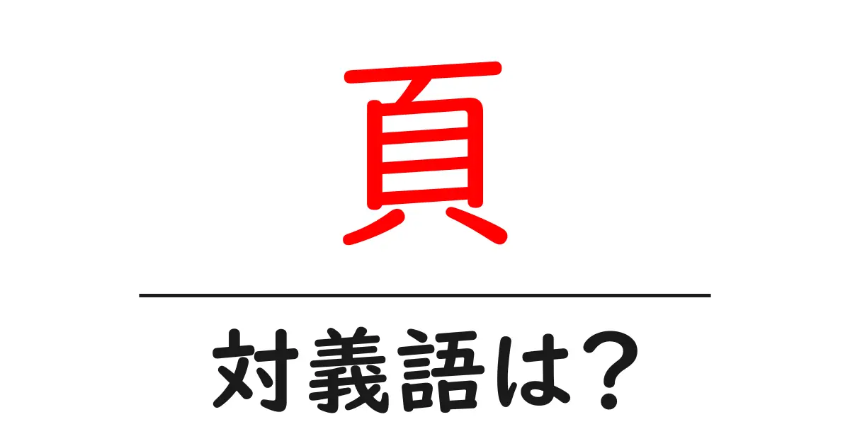 頁の対義語・反対語を使用例を交えて分かりやすく解説！