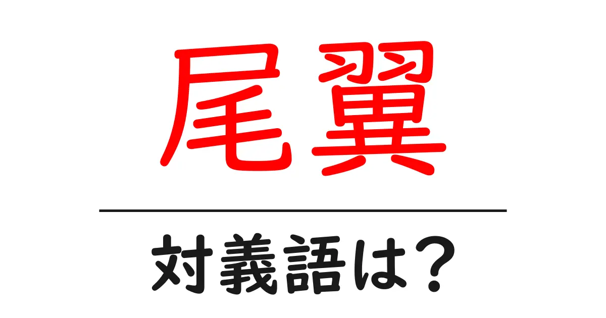 尾翼の対義語・反対語を使用例を交えて分かりやすく解説!