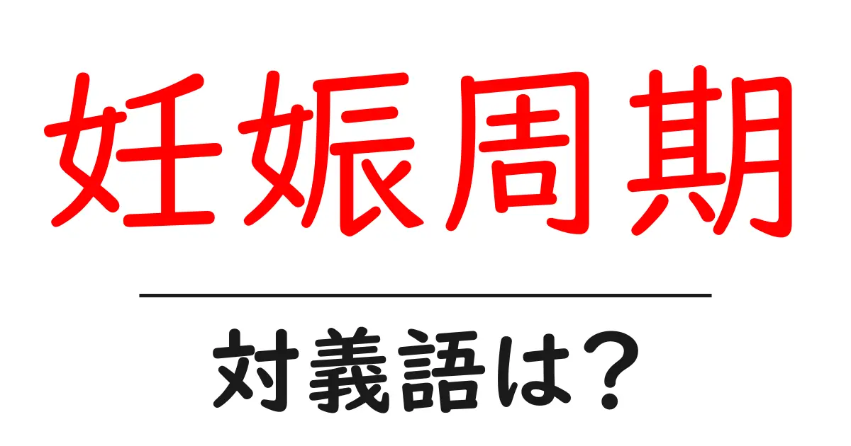 妊娠周期の対義語・反対語を使用例を交えて分かりやすく解説!