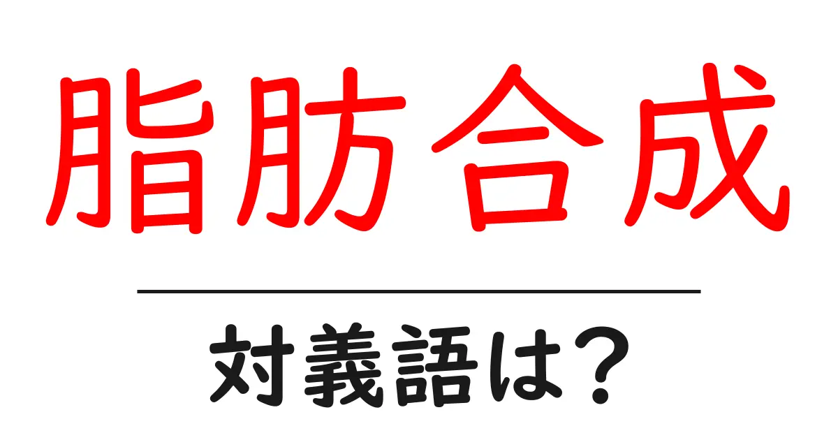 脂肪合成の対義語・反対語を使用例を交えて分かりやすく解説!