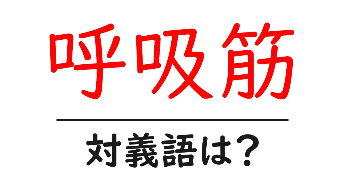 呼吸筋の対義語・反対語を使用例を交えて分かりやすく解説!