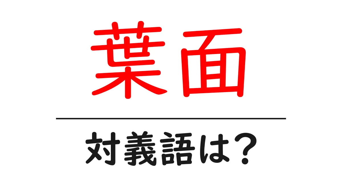 葉面の対義語・反対語を使用例を交えて分かりやすく解説！